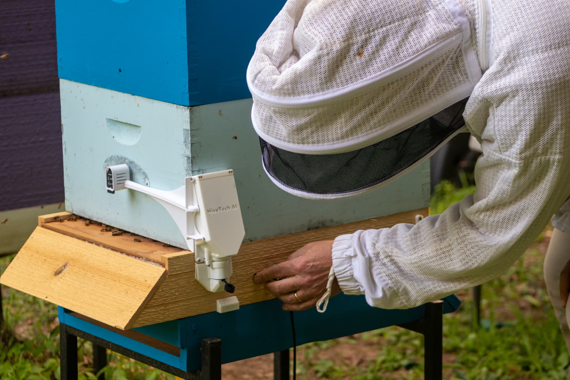 Beekeeper in a white suit installing a HiveTech AI sensor on a blue beehive