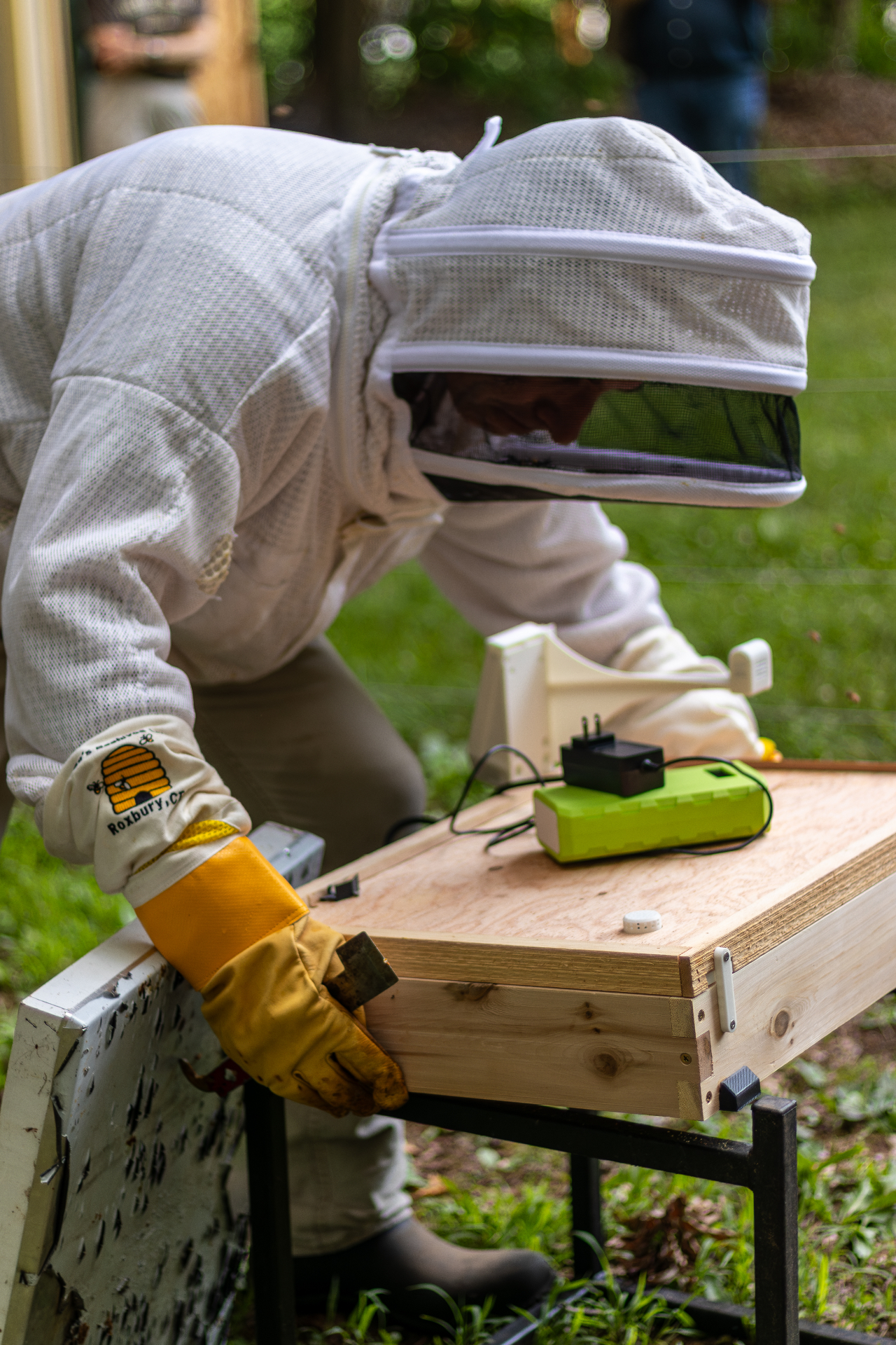 Beekeeper installing a HiveTech sensor
