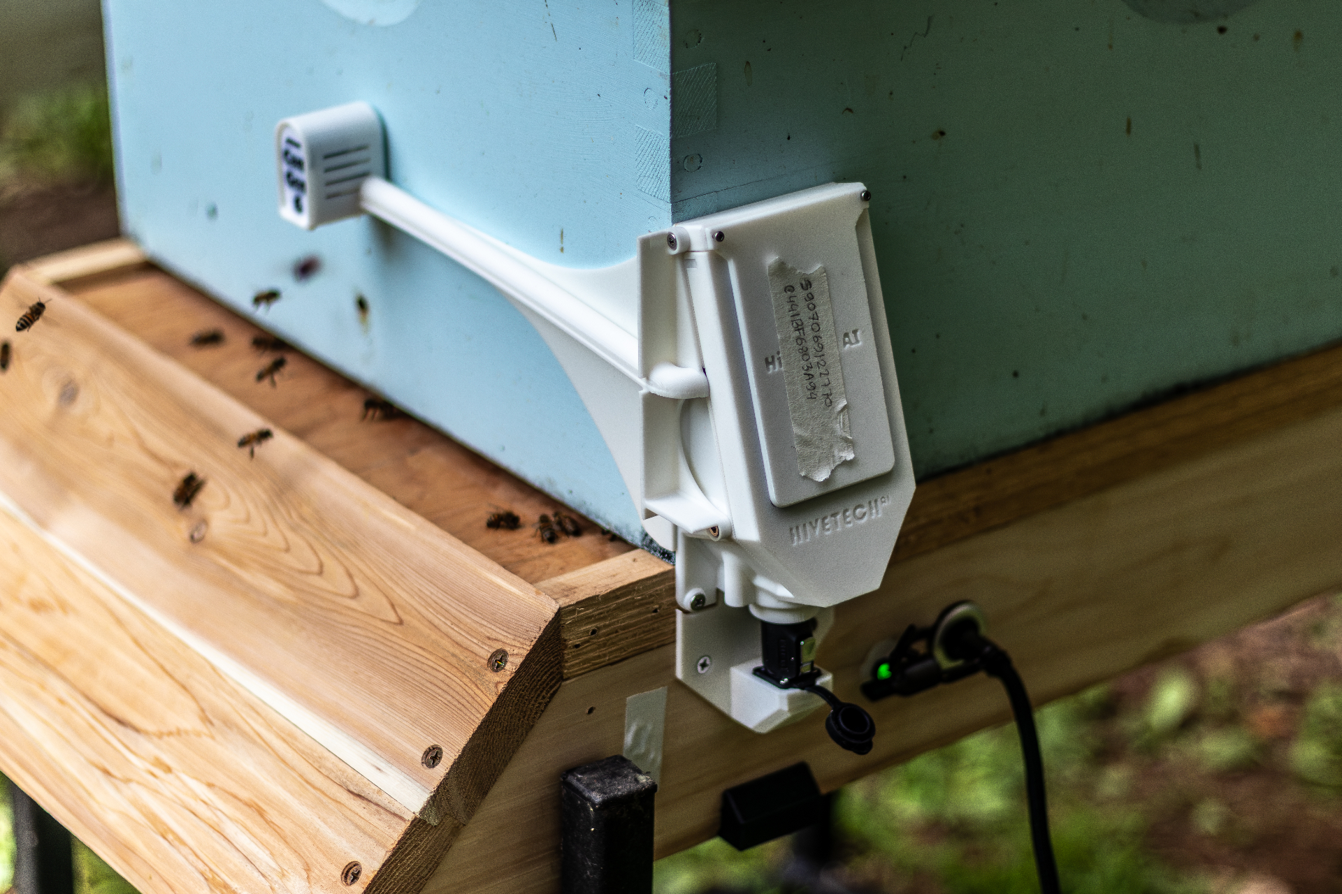 What is "Smart Monitoring" and What it Means for the Future of Beekeeping