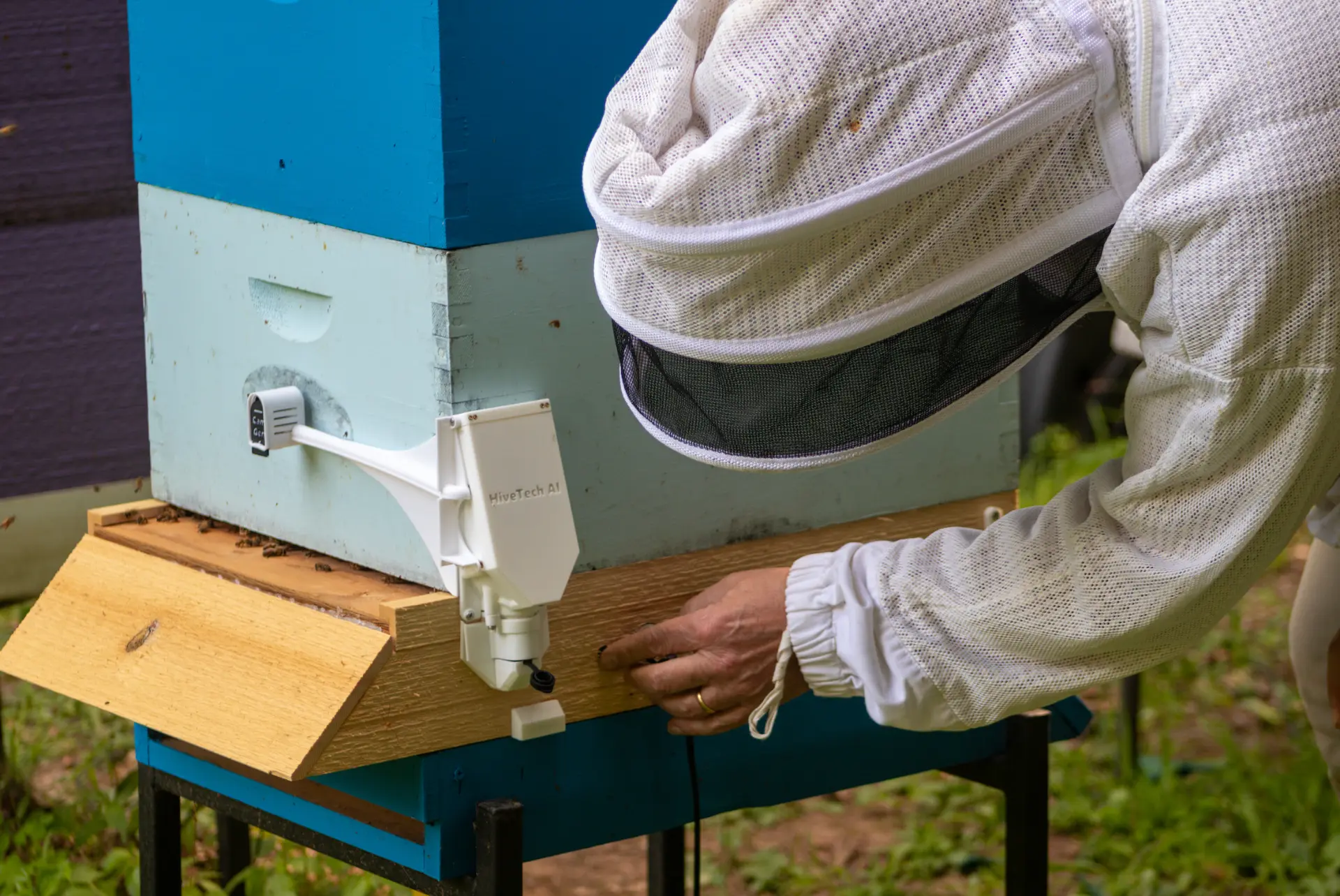 Discover the Device Designed to Support Your Beekeeping, Not Replace It