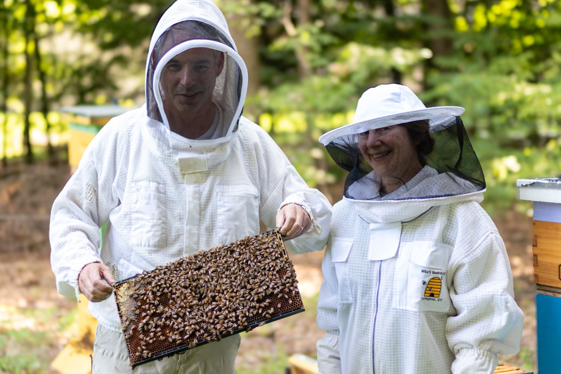 Two beekeepers in protective suits holding a frame covered in honeybees
