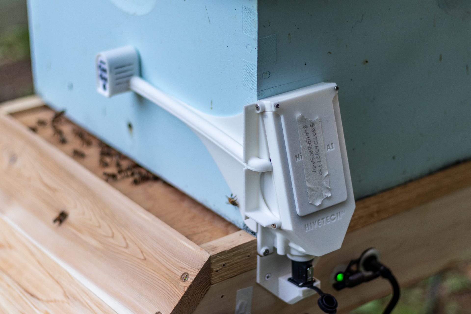 A HiveTech AI sensor installed on a light blue Langstroth hive with bees at the entrance